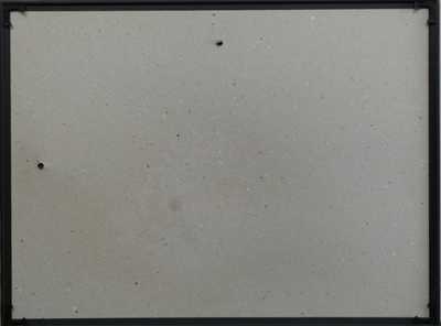  / La tentation de Saint-Antoine / Salvador Dalí