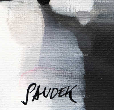  / Pokoj s piánem a vyhlídkou / Patrik Saudek