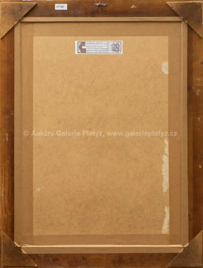  / Podmořské nymfy / Vladimír Jeniš