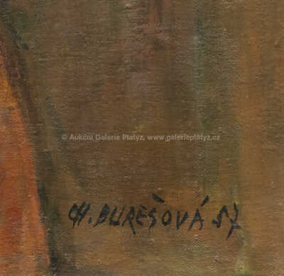  / Kytice lučního kvítí / Charlotta Burešová