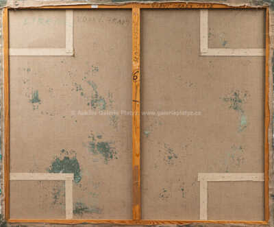  / Vodní hrady / František Hodonský