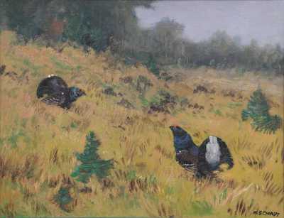  / Tetřevi / Karel Schadt