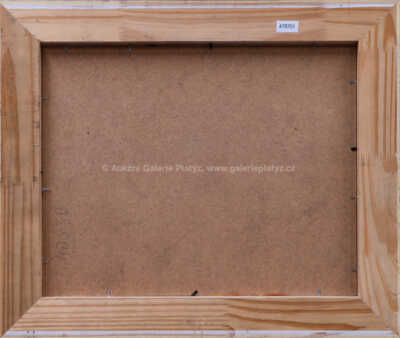  / V květinách / Viktorie Chaloupková