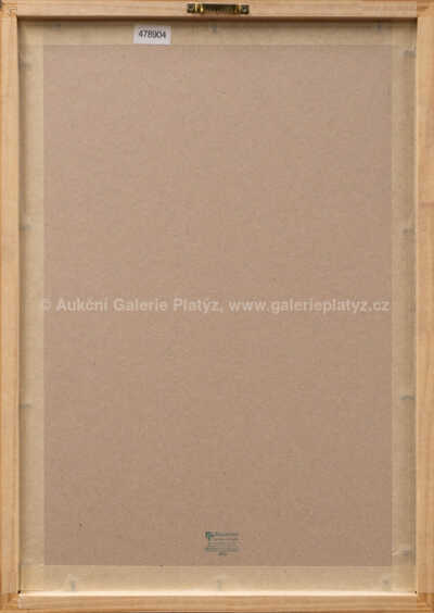  / Hudebník / Kristian Kodet