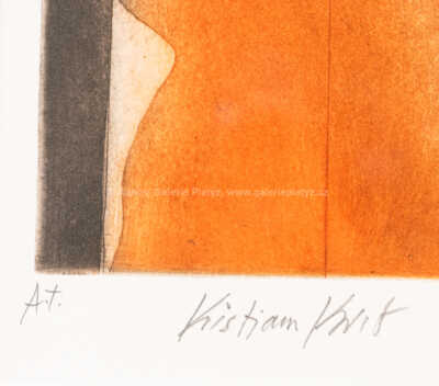  / Hudebník / Kristian Kodet