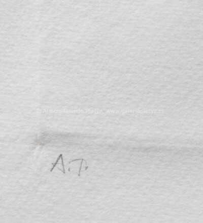  / Jákob a Thamar / Olbram Zoubek