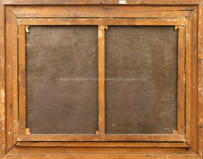  / Krajina s vodopádem / J. Riegler (Julius Zopf)