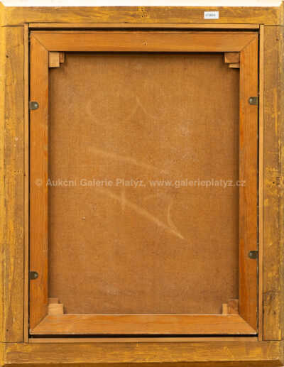  / Z procházky /   Autor neurčen