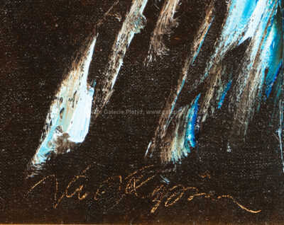  / Amelie z Montmartru / Jan Rapin