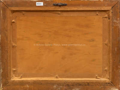  / Lekníny / Jaroslav Panuška