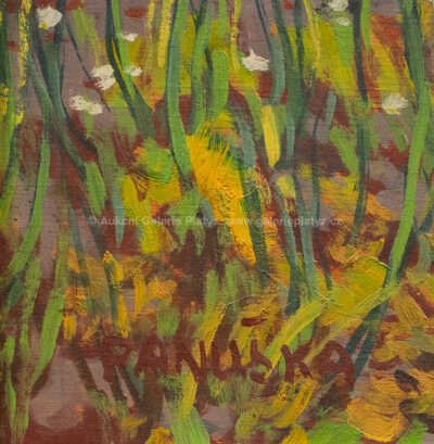  / Lekníny / Jaroslav Panuška