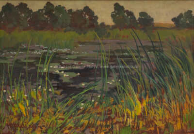  / Lekníny / Jaroslav Panuška