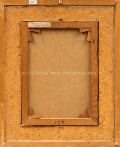  / Odklízení sněhu / Lev Šimák