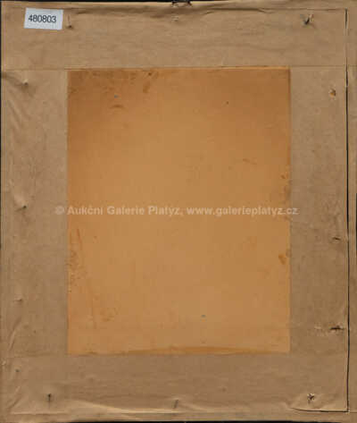  / Posměváček / Hanuš Schwaiger