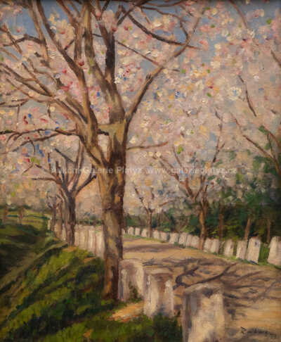  / Jaro / Václav Rabas