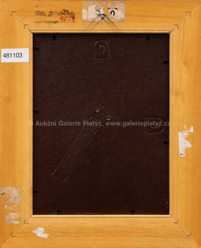  / Dívka / Ota Janeček