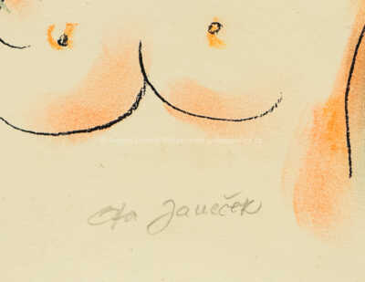  / Dívka / Ota Janeček