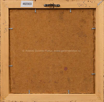  / Šachovnice / Pavel Pardy