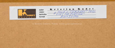  / Muž s torzem / Kristian Kodet