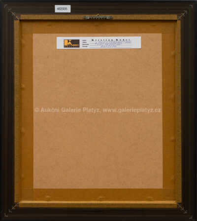  / Muž s torzem / Kristian Kodet