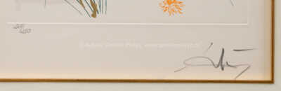  / Adam v Ráji / Salvador Dalí