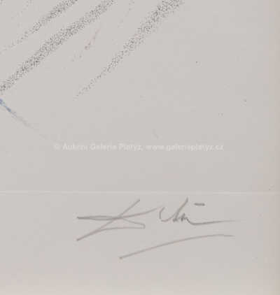  / Casanova, akt s ústřicemi / Salvador Dalí