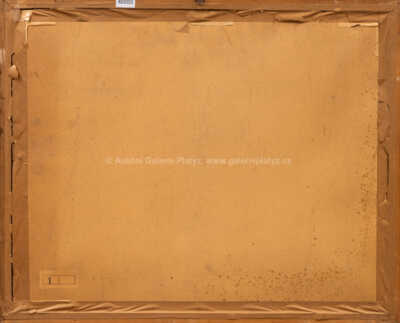  / Romulus a Remus / Antonín Procházka