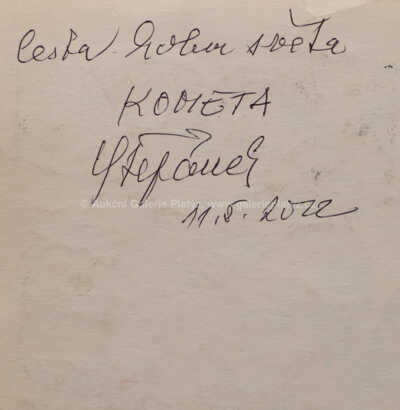  / Cesta kolem světa za 80 dní, II. / Jan Štěpánek