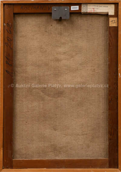  / Zlatý déšť / Miroslava Kocmanová