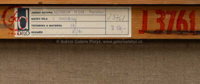  / U Invalidovny / Miroslava Kocmanová