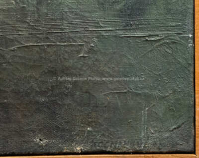  / Pavilon 79 / Miroslava Kocmanová