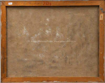  / Tichá krajina / Miroslava Kocmanová