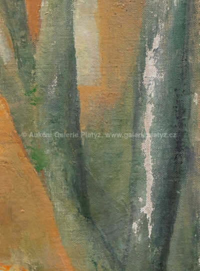  / Kateřina / Miroslava Kocmanová