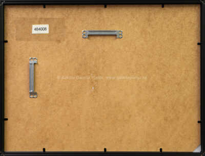  / Štaflík indián / Zdeněk Smetana