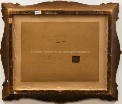  / Ve skalách / Josef Navrátil (připsáno)