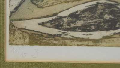  / Havran / Ota Janeček