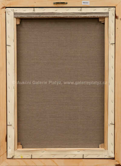  / Příběh staré pumpy / Tomáš Limberk