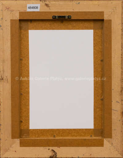  / Dívka s šiškami / Marie Čermínová - Toyen