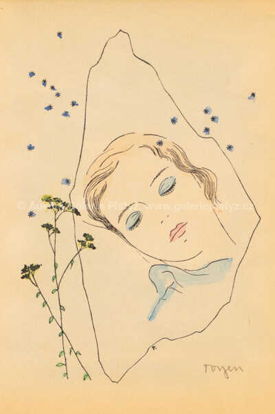  / Dívka spící pod hvězdami / Marie Čermínová - Toyen