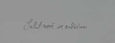  / Salut nově se rodícímu / Josef Liesler