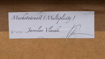  / Mnohotvárnost / Jaroslav Vlasák