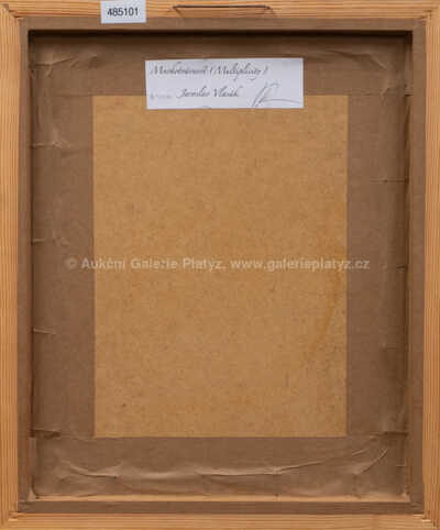  / Mnohotvárnost / Jaroslav Vlasák