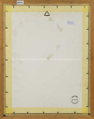  / Summertime / Jan Saudek