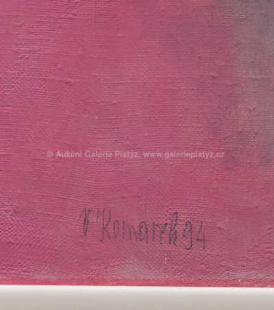  / Busta / Vladimír Komárek