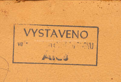  / Břehy řeky Otavy u Rabí / Rudolf Bém (Vratislav Hlava)