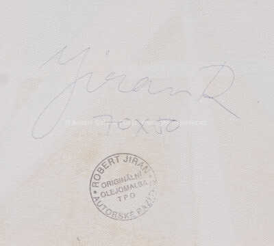  / Na tenisu / Robert Jiran
