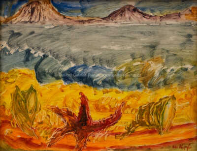  / Mořské pobřeží / Maxim Kopf