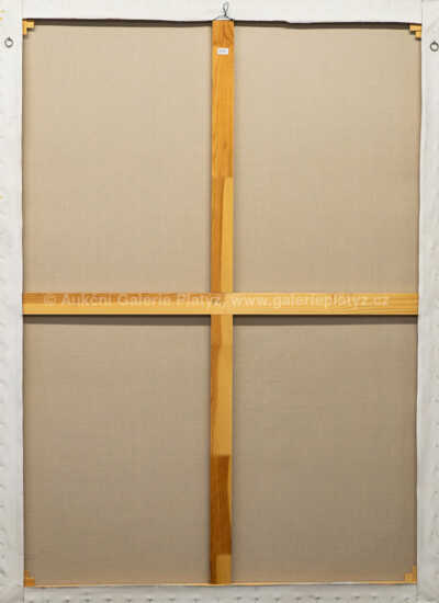  / Překážky aztécké civilizace / Michal Singer