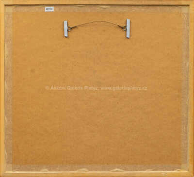  / Hotel Plaza New York / Kamil Kubík