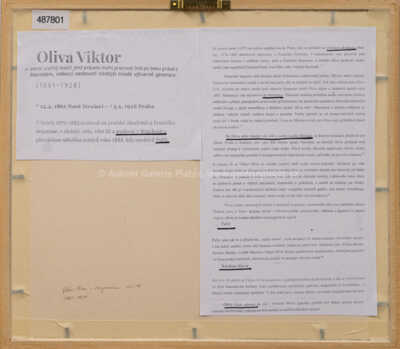 / Na procházce / Viktor Oliva
